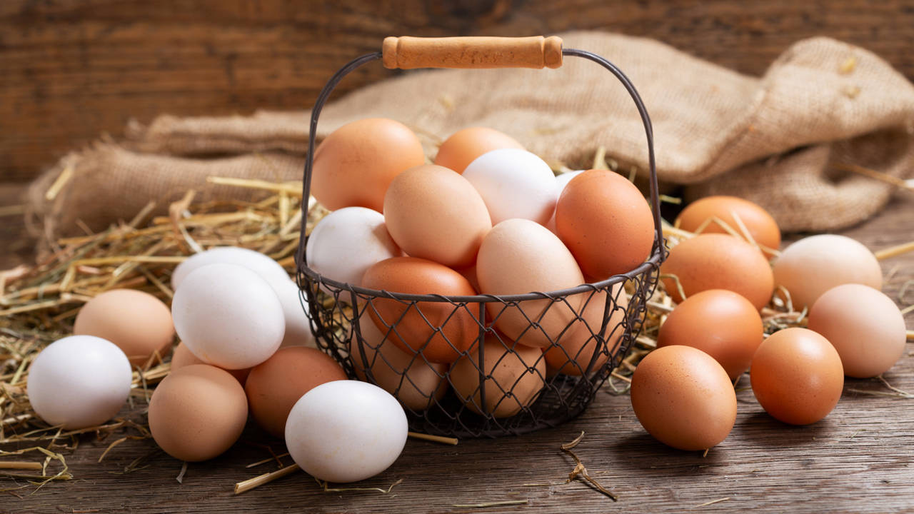 Sara Mansa, nutricionista: "El huevo llena... si no está frito"