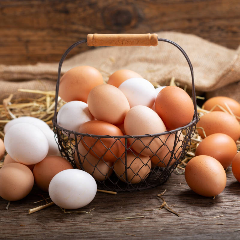 Sara Mansa, nutricionista: "El huevo llena... si no está frito"