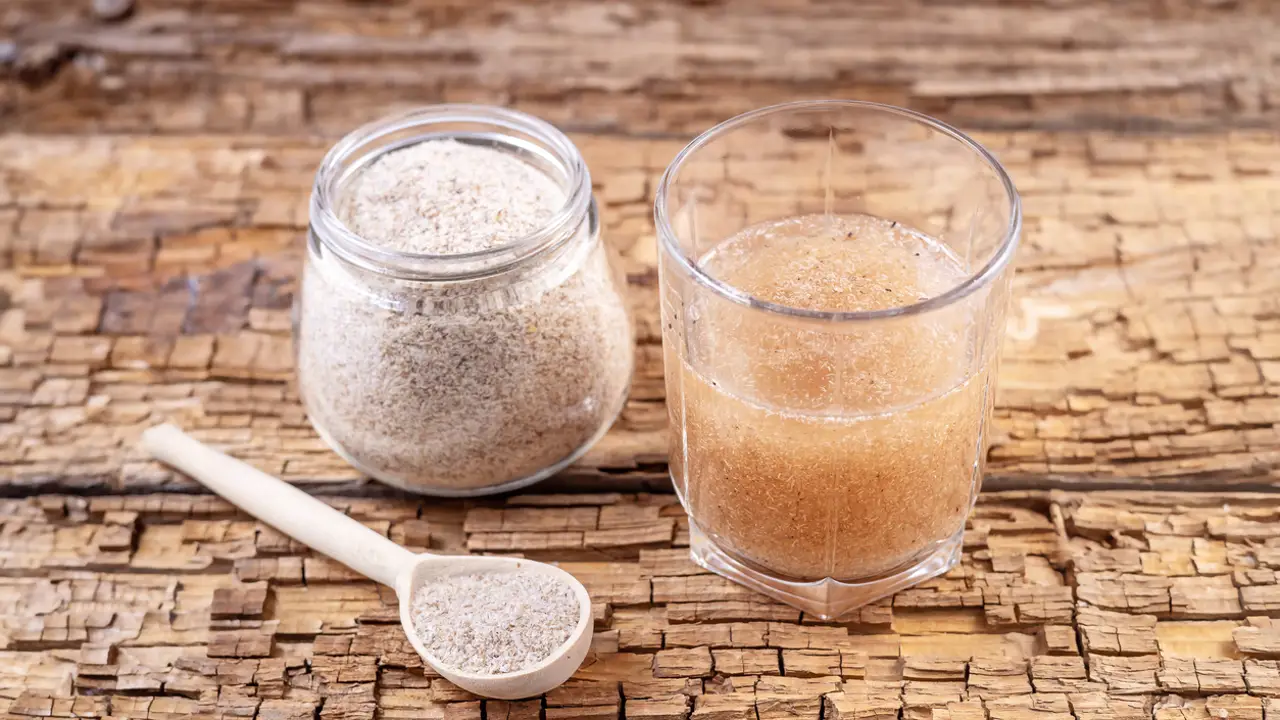 Cáscara de psyllium, qué es y cómo funciona para regular el tránsito intestinal