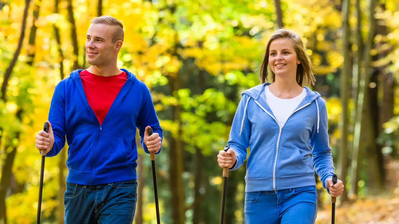 Pareja caminando en bosque