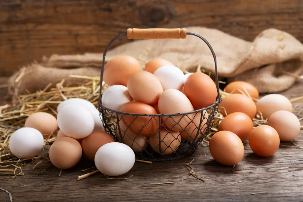 huevos