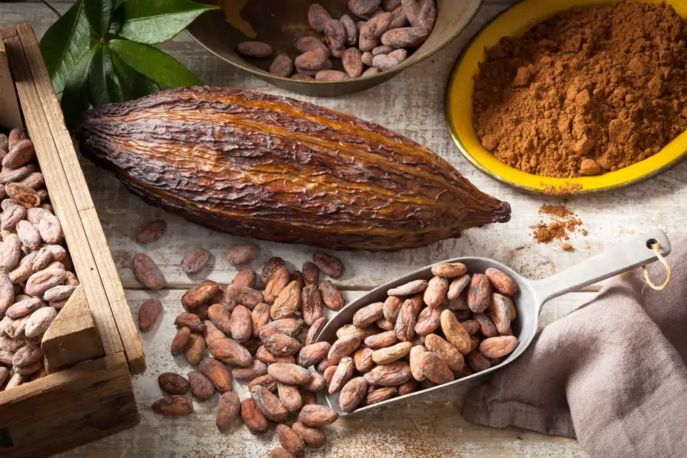 Los flavanoles del cacao reducen el riesgo cardiovascular