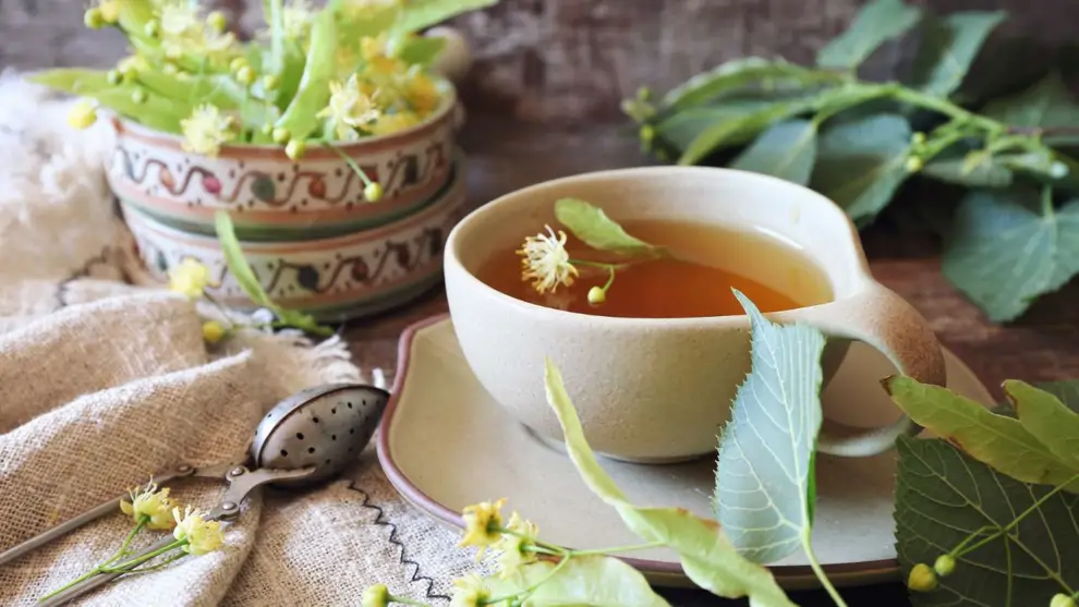 Las 25 Infusiones Que Mejor Sientan A Tu Cuerpo Y A Tu Mente Las 25 Infusiones Que Mejor Sientan A Tu Cuerpo Y A Tu Mente