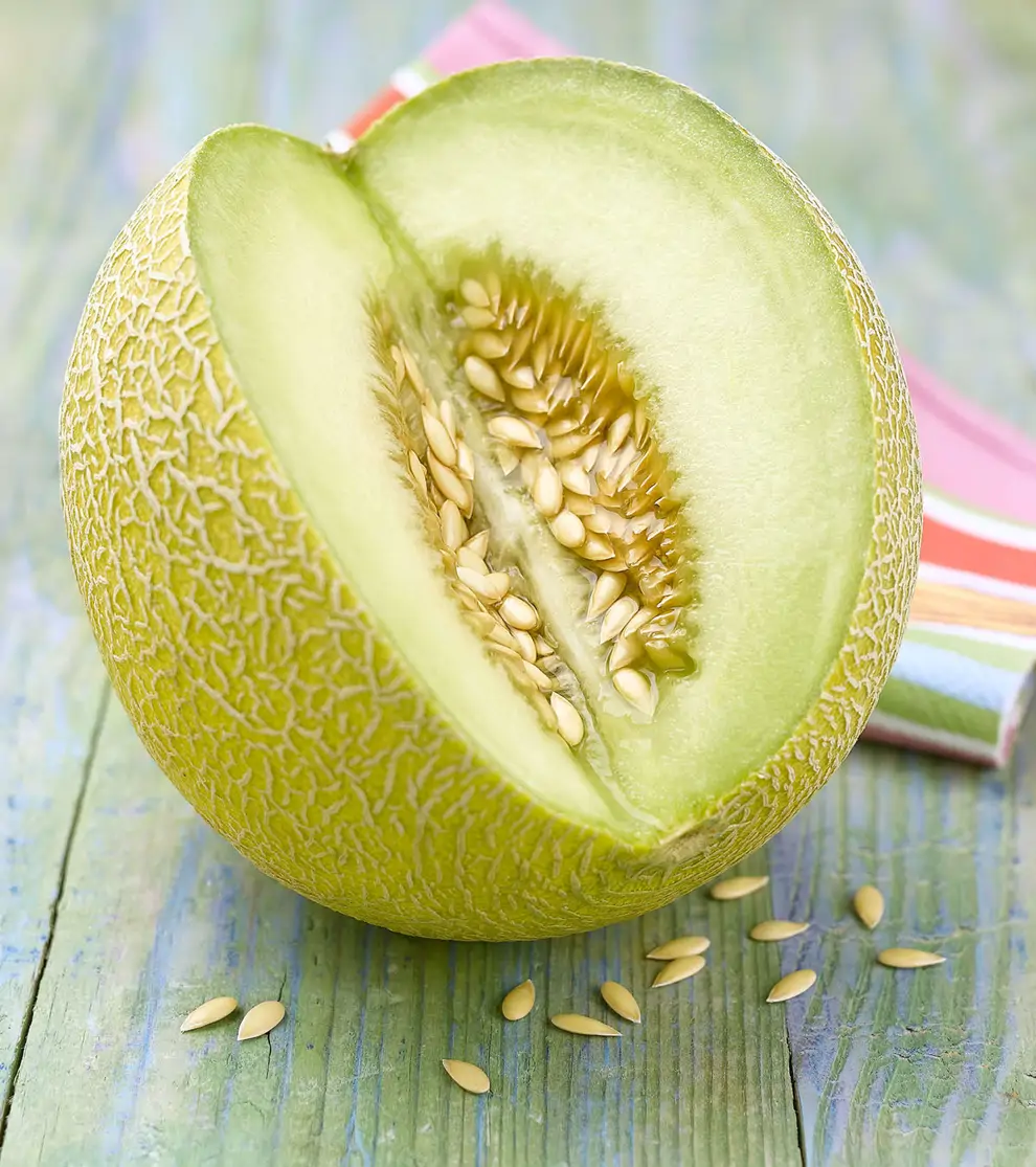 Melón 