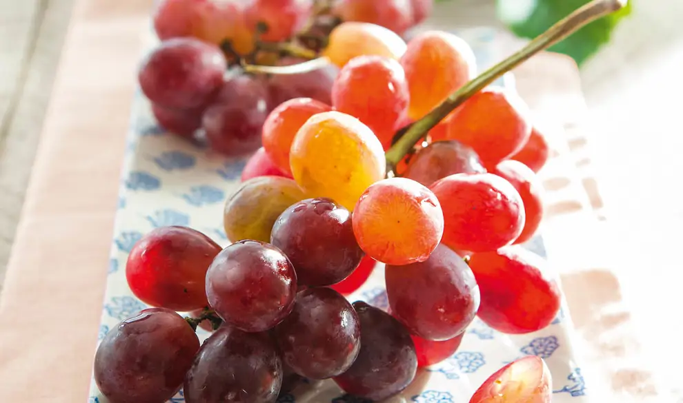 Uvas