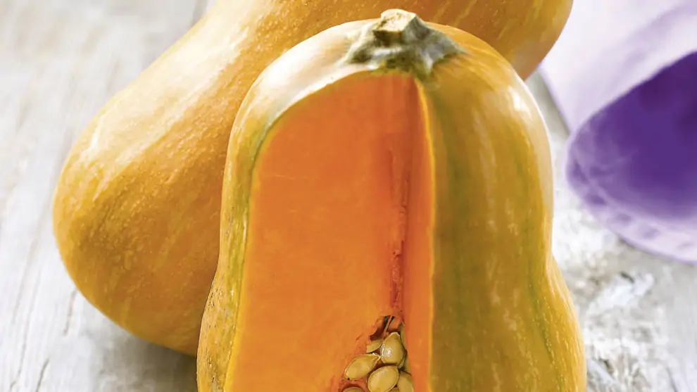 Calabaza