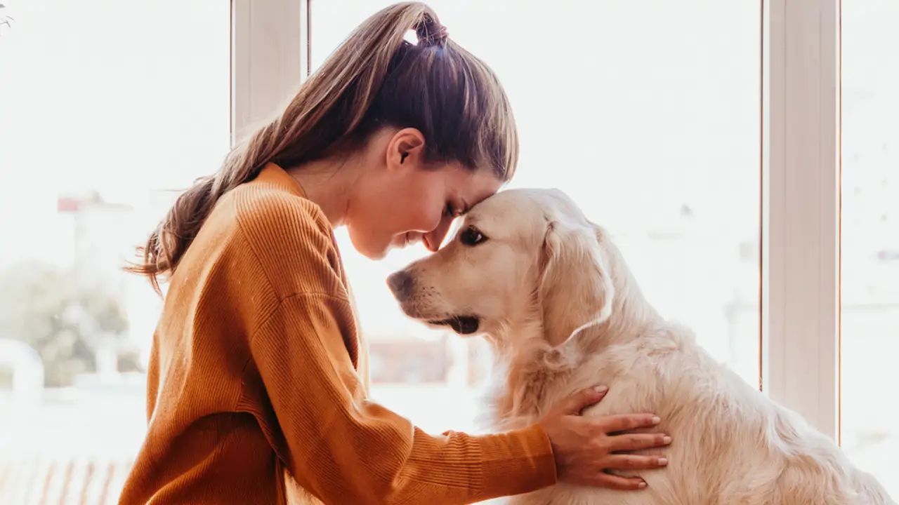 Un estudio cuantifica la felicidad que dan las mascotas: “Un perro o un gato proporcionan tanto bienestar como familiares o amigos”