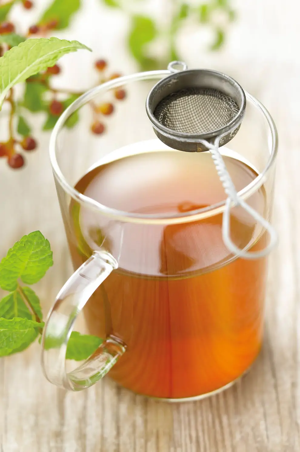 Genciana para ayudar a los jugos gástricos