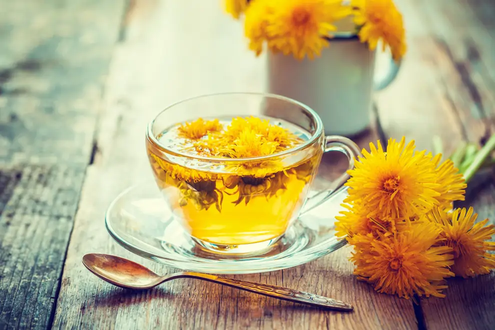 Té de diente de león