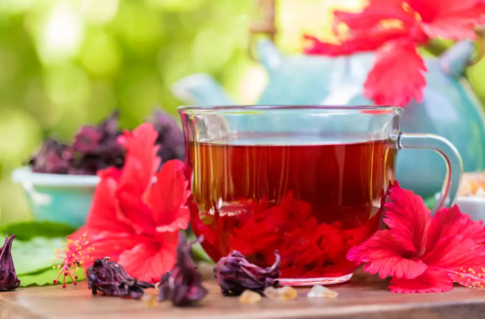 TÉ DE HIBISCO