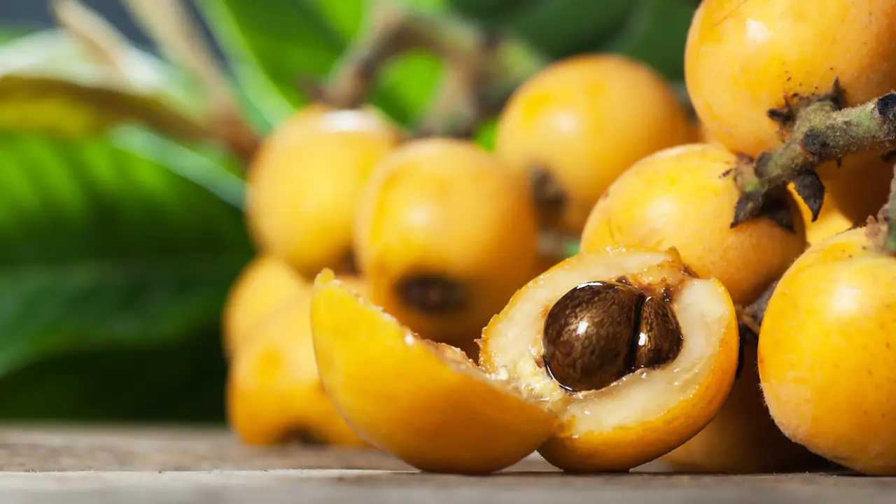 frutas primavera defensas