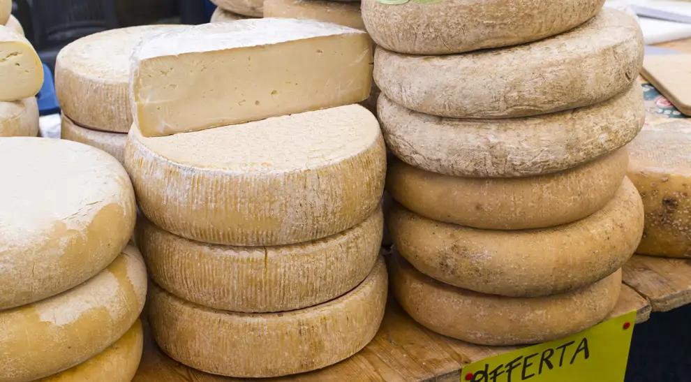 queso fontina