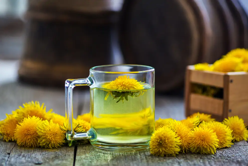 Infusión de diente de león