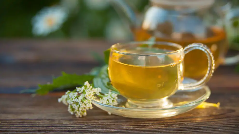 infusion valeriana