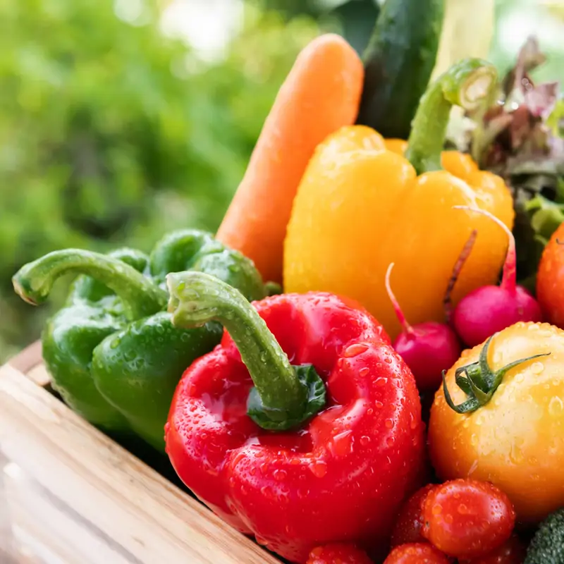 Estas verduras de primavera con provitamina A actúan como una barrera natural para tu piel y mucosas