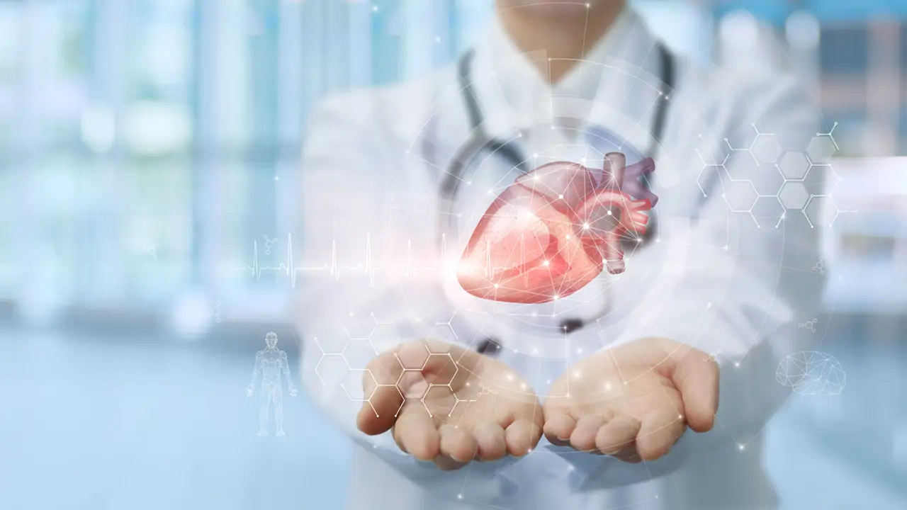 Investigadores del Hospital de Sant Pau logran revertir el daño que el colesterol hace al corazón