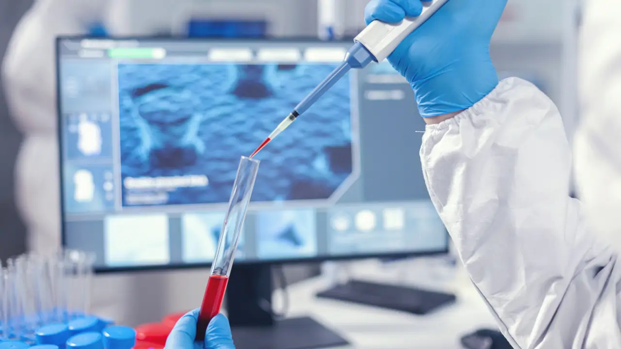 Científicos españoles detectan un mecanismo que puede servir para el rejuvenecimiento a través de la sangre