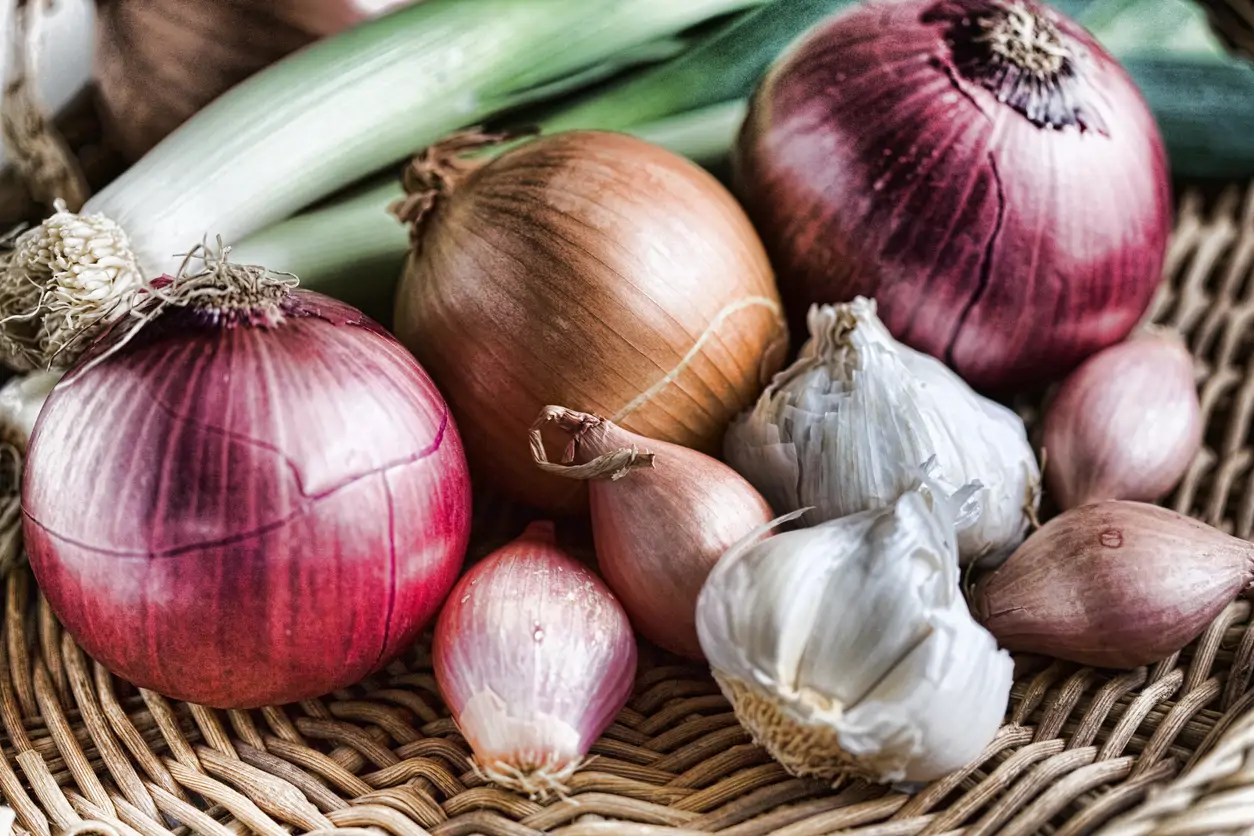ALIMENTOS PREBIOTICOS CEBOLLA AJO PUERRO