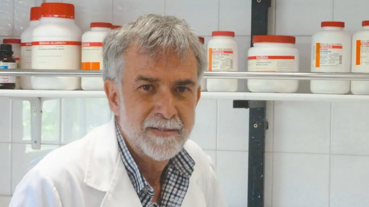 Ignacio Morgado, neurocientífico: "La dopamina aumenta cuando hacemos cosas nuevas, recibimos estímulos distintos y estamos en ambientes que no son los habituales"