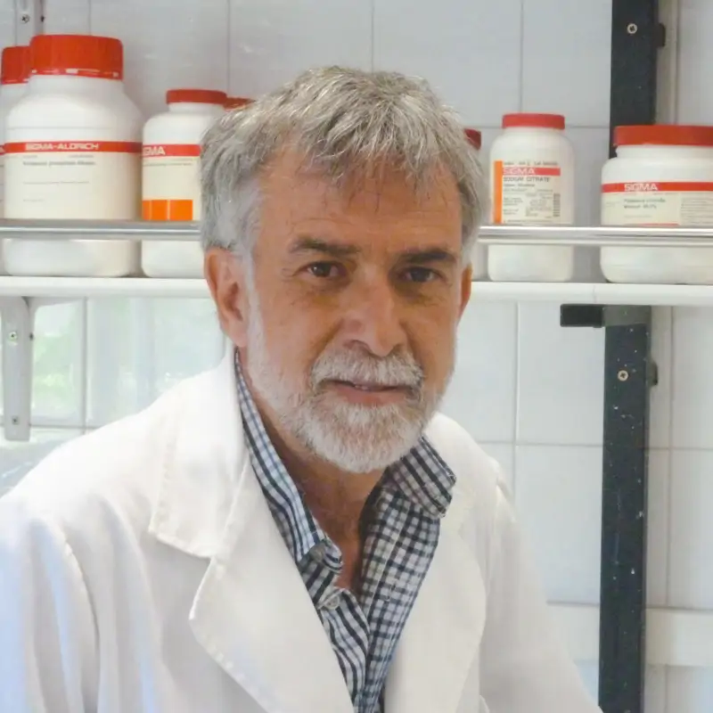 Ignacio Morgado, neurocientífico: "La dopamina aumenta cuando hacemos cosas nuevas, recibimos estímulos distintos y estamos en ambientes que no son los habituales"