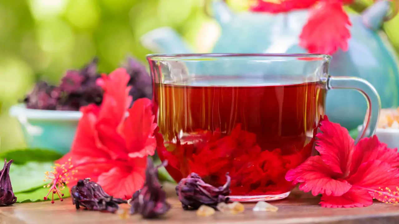 TÉ DE HIBISCO