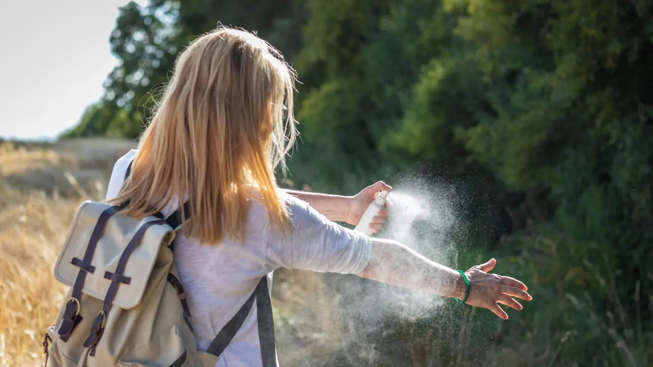 Los expertos alertan de la proliferación este verano de mosquitos y otras plagas transmisoras de enfermedades