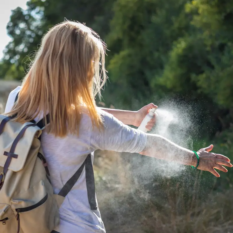 Los expertos alertan de la proliferación este verano de mosquitos y otras plagas transmisoras de enfermedades
