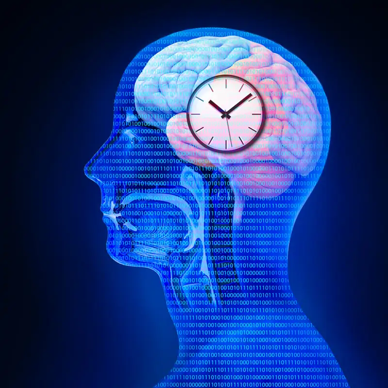 Descubrimiento sobre el metabolismo: nuestro reloj biológico no es el responsable directo de cómo funciona