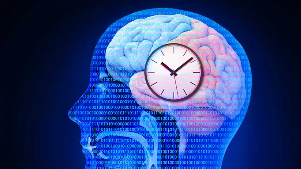 Descubrimiento sobre el metabolismo: nuestro reloj biológico no es el responsable directo de cómo funciona
