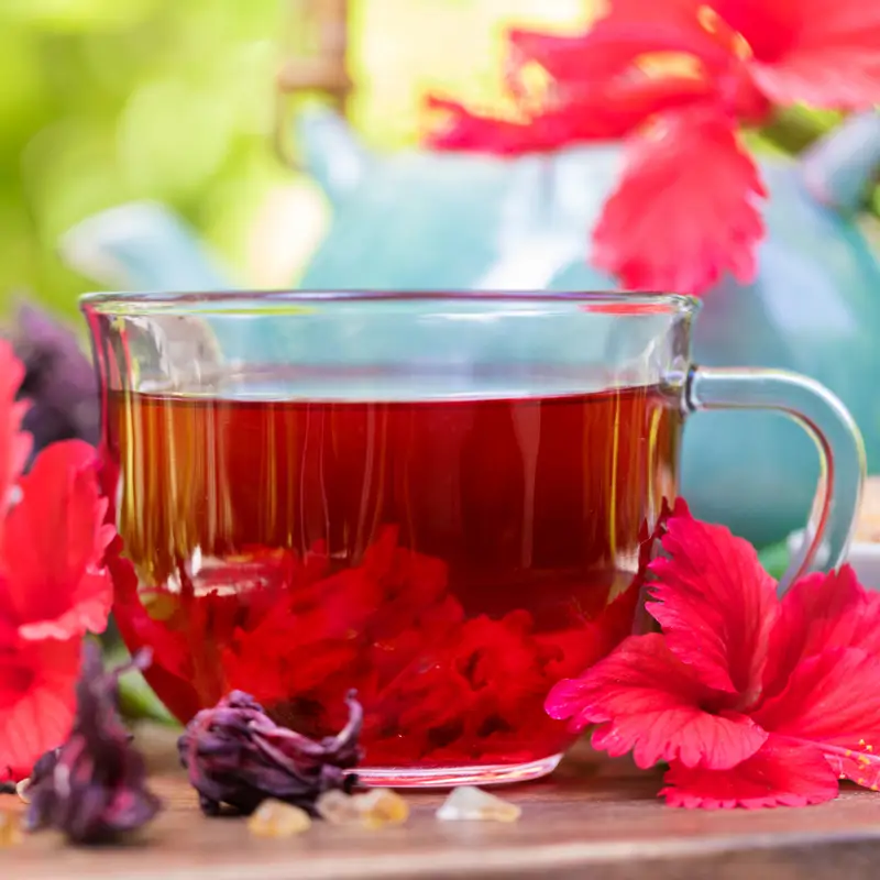 10 infusiones que ayudan a combatir la hipertensión en casa