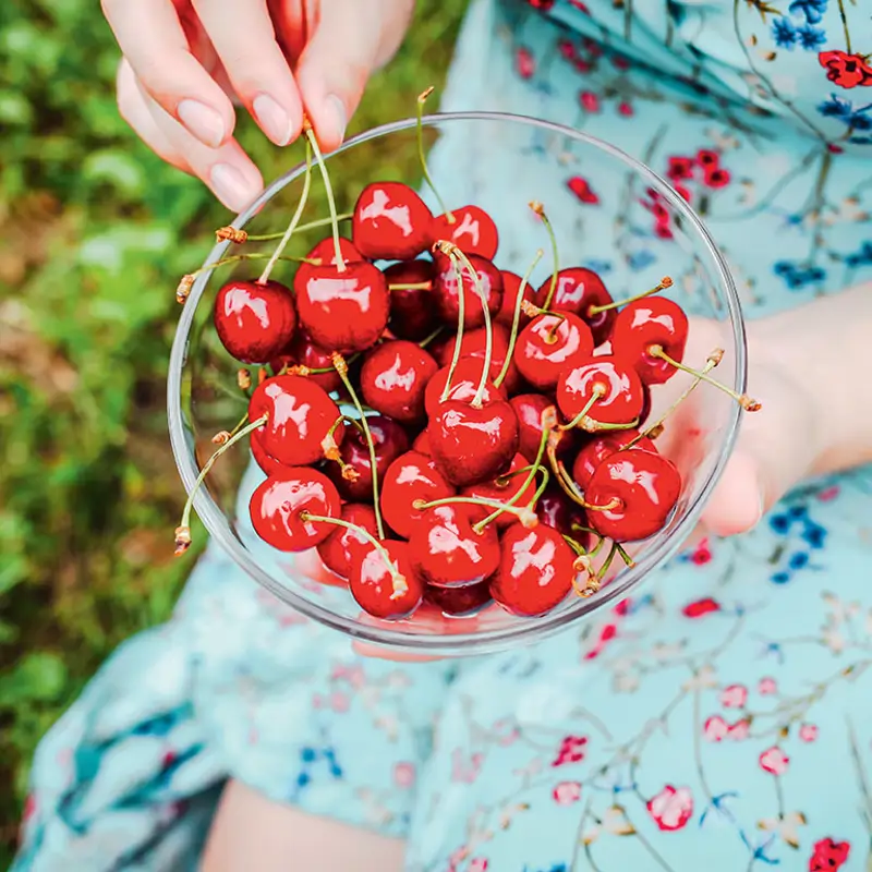 7 frutas y verduras de temporada que te hidratan por dentro