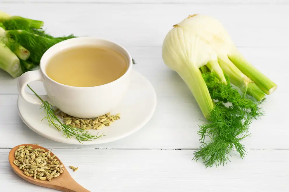 infusión de hinojo