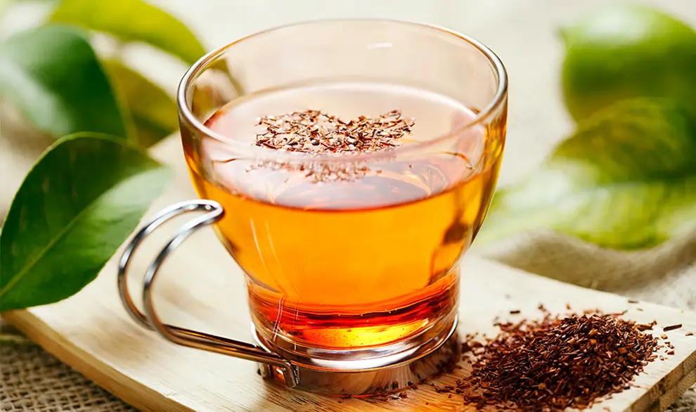 rooibos