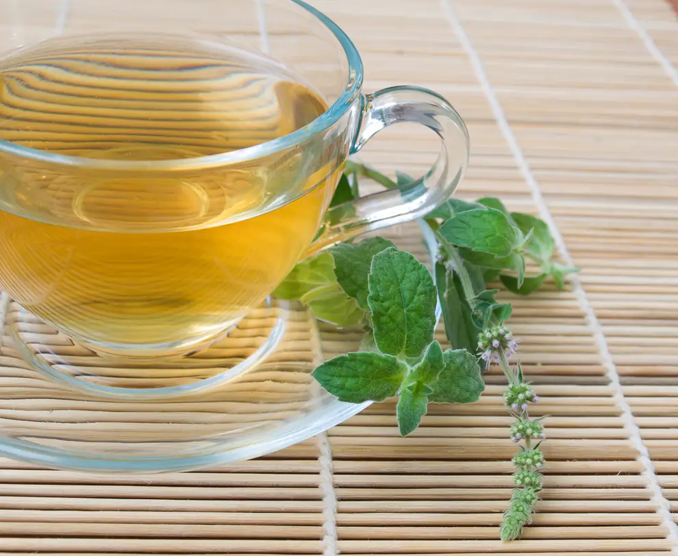 Té de estevia