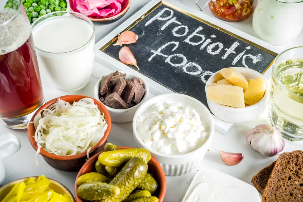 Alimentos probióticos
