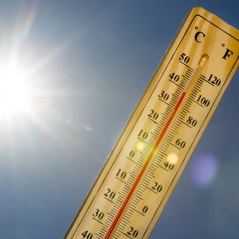 Ola de calor