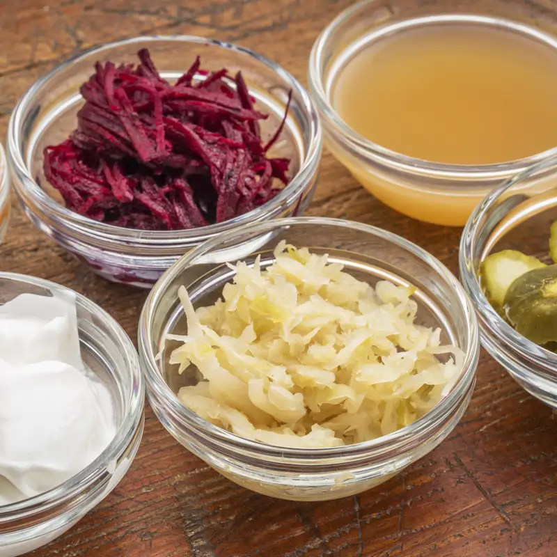 alimentos fermentados