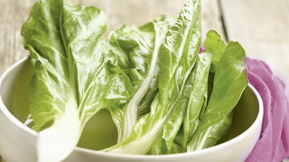 Vegetales de temporada ricos en a´cido fo´lico